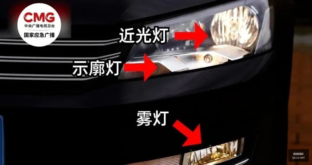 辽宁队,日陪伴,我的成长与,太阳城在线娱乐,在线娱乐,娱乐平台,彩票投注,游戏大厅,安全平台